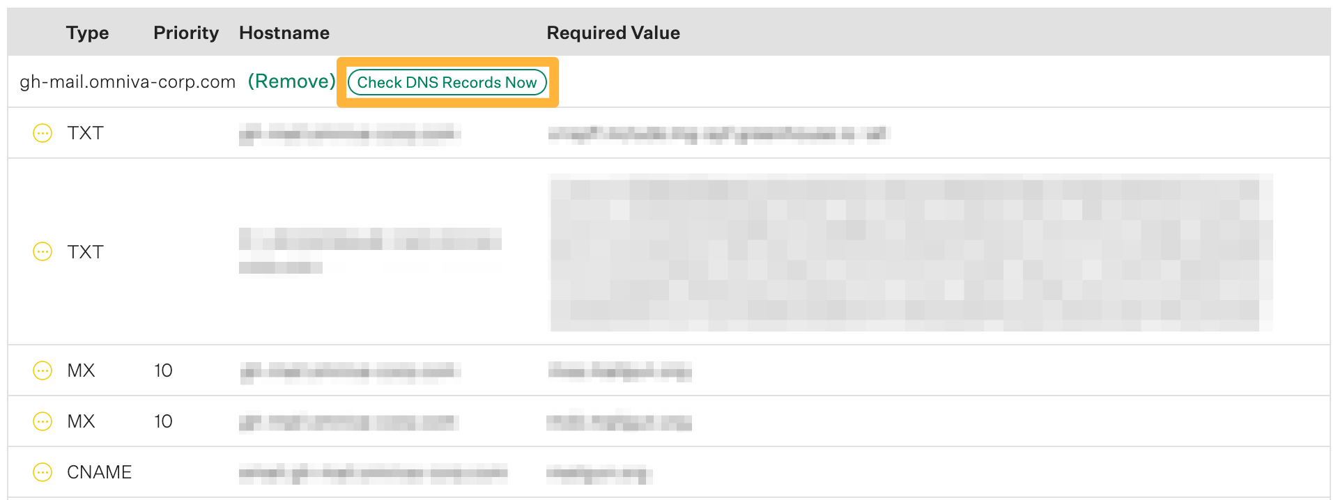 Screenshot of the check DNS records now button