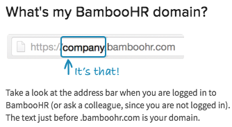 BambooHR organization domain example