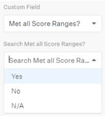 Single/Multi select custom field filter with dropdown options