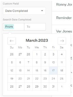 Date custom field filter showing from/to date inputs