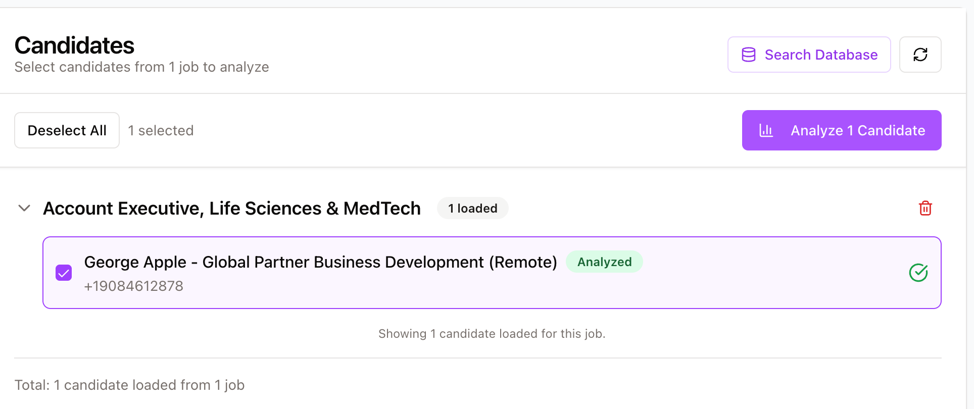 Candidate profile with the Analyze Candidate button